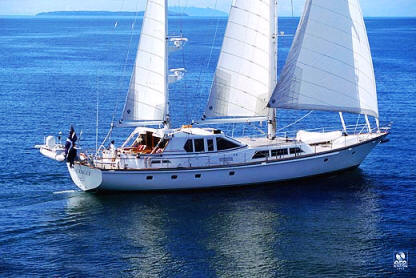 pac eagle 8